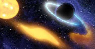 Black Hole Black Hole