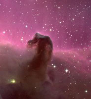 Horsehead Nebula Horsehead Nebula