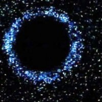 Black Holes