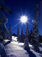 Christmas Star