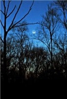 crescent-moon