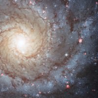 Galaxy M74 Galaxy M74