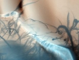 Dust Devil Trails on Mars Dust devil trails visible on the Martian surface