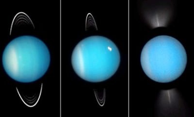 Neptune Rings Neptune Rings