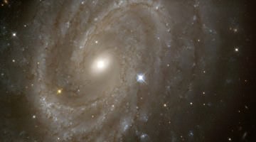 A Spiral Galaxy