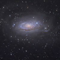 Sunflower Galaxy Sunflower Galaxy