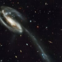 Tadpole Galaxy Tadpole Galaxy