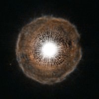 U Camelopardalis - A Carbon Star