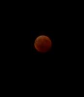 winter-solstice-lunar-eclipse-candace Lunar Eclipse 2010